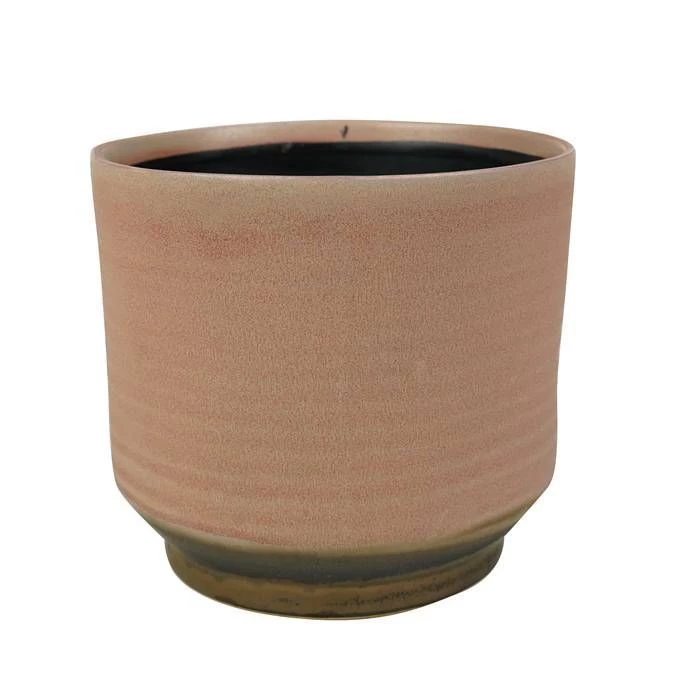 Pot Suze Rose 15 Cm 1 Pot Suze Rose 15 Cm