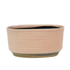 Pot Suze Rose Bateau 25 Cm