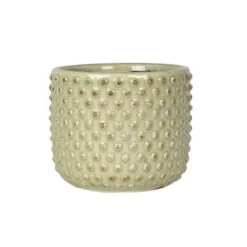 Pot Bolino Menthe 18 Cm